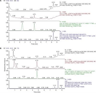 Salvia Miltiorrhiza Ameliorates Liver Fibrosis by Activating Hepatic Natural Killer Cells in Vivo and in Vitro
